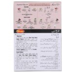 SHAN TIKKA SEEKH KABAB MASALA EOCONOMY PACK 50 GM - Image 2