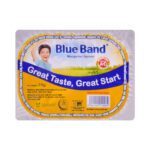 BLUE BAND MARGARINE SPREAD 25 GM