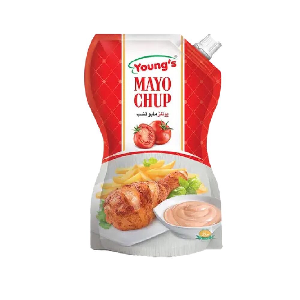 NewProject-2023-04-05T124124.281-1.png YOUNGS SPREAD MAYO CHUP 500 ML BASIC - Image 1