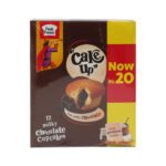 PEAK FREANS CAKE UP CHOCOLATE RS.20 PROMO 19.5 GM BOX 12PC