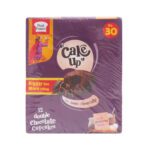 PEEK FREANS CAKE UP DB CHOCOLATE 21.5 GM BOX 12P