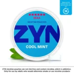 ZYN cool Mint 6 dots