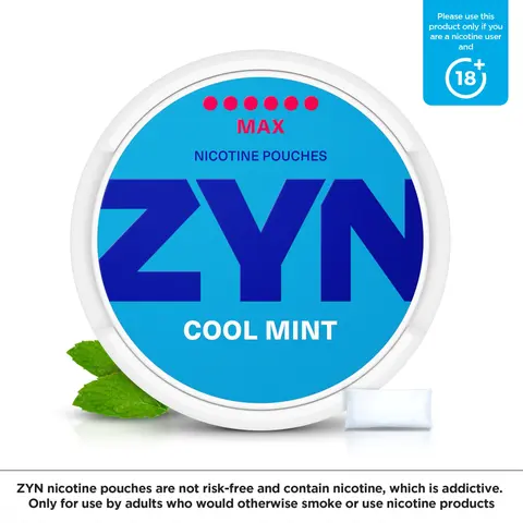 9558e622-c9c5-4d61-9737-184abaac599c ZYN cool Mint 6 dots - Image 1